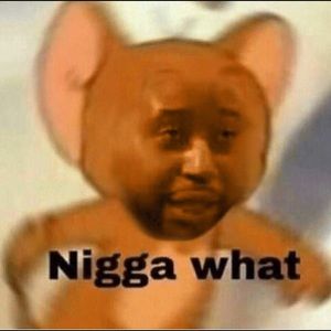 Meet your Posher, Han